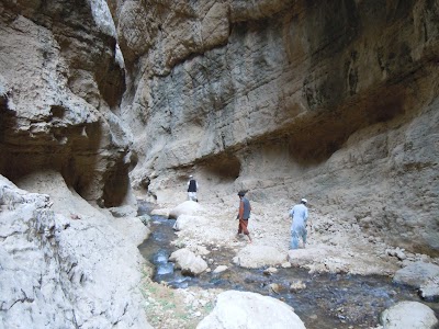 DSCN3995.jpg