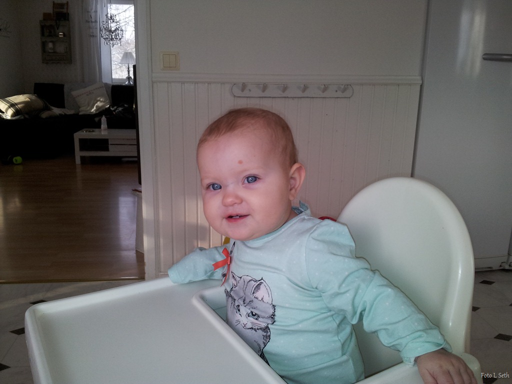 [2012-02-01%252010.50.43%255B6%255D.jpg]