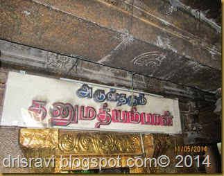 IMG_0032 IMG_0032