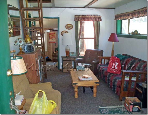 cabin-living-room-2