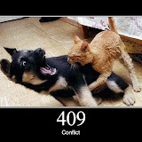 409.jpg 409.jpg