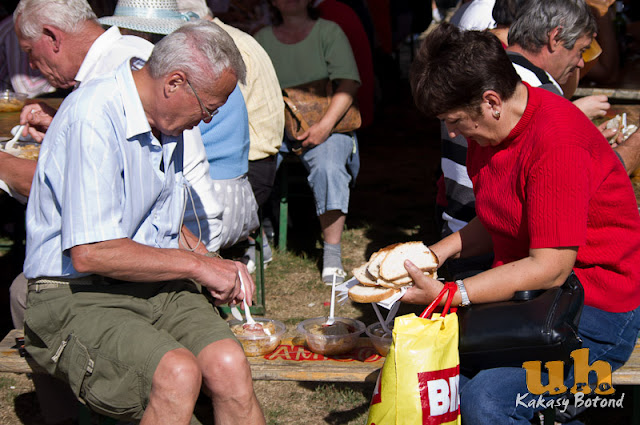 kaposzta fesztival g40.jpg