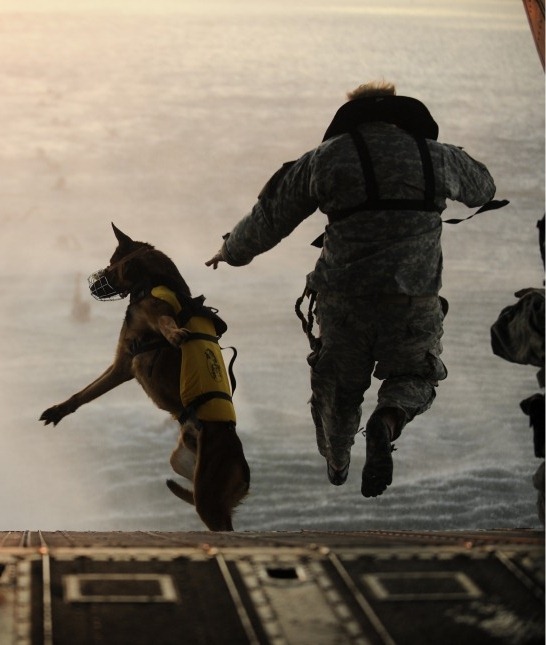 [Soldier%2520Dog%2520Vibrams%255B5%255D.jpg]