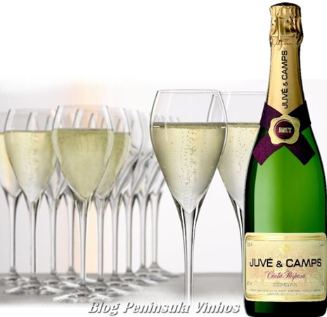 cava vintage taças cava vintage taças