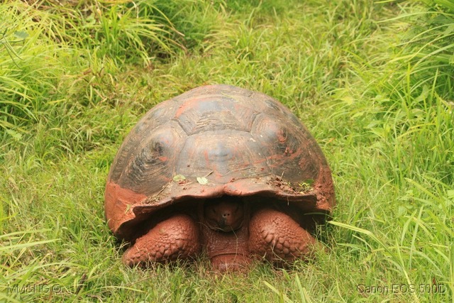 [IMG_1288%255B7%255D.jpg]