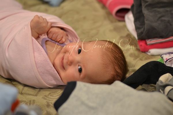 DSC_0087blog.jpg DSC 0087blog