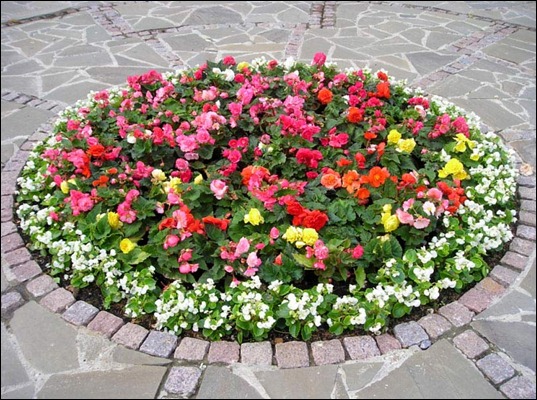 flower-gardens6