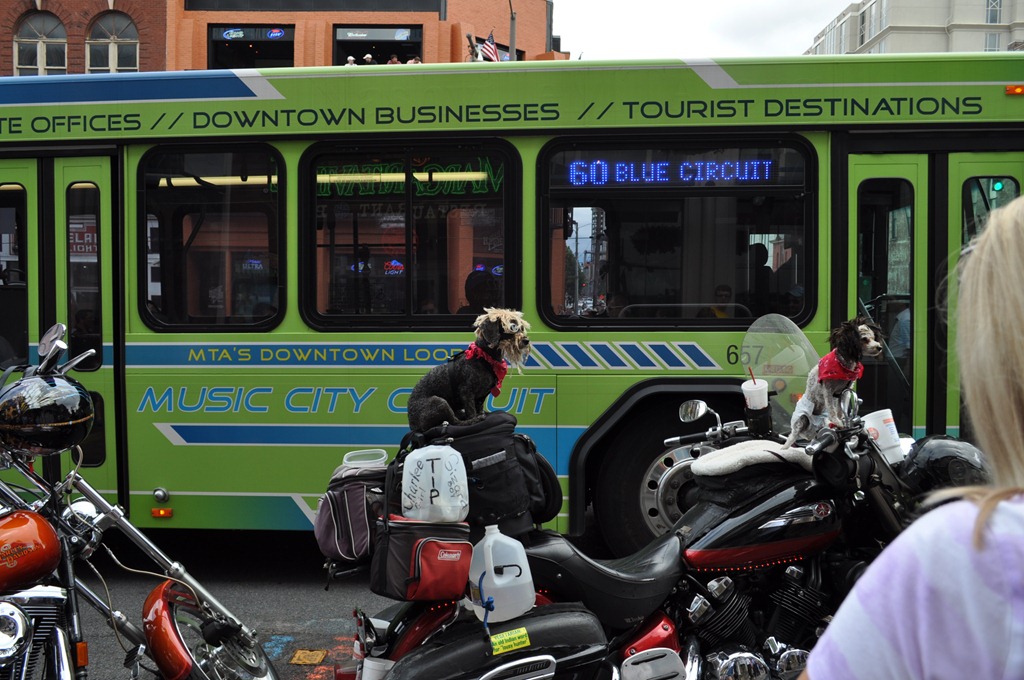 [Nashville%2520198%255B3%255D.jpg]