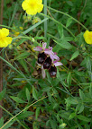 P1090053.JPG