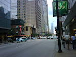 IMG00079-20090727-1929.jpg