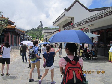 IMG_0351 IMG_0351