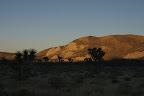 Sunset in Joshua Tree National Park
