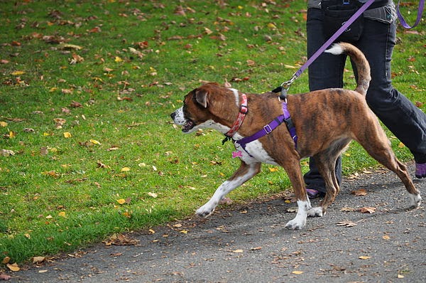 DSC_3928.JPG DSC_3928.JPG
