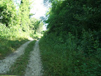 Immagine 016.jpg Immagine 016.jpg