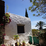DSC00981.JPG