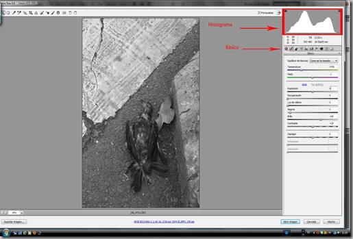 Imagen 3flecha Imagen 3flecha