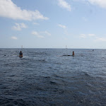 IMG_4809.JPG