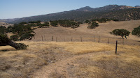 DSC02961.jpg