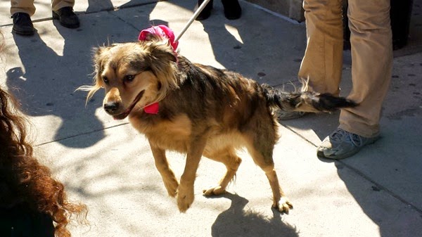 20140409_110614.jpg 20140409 110614