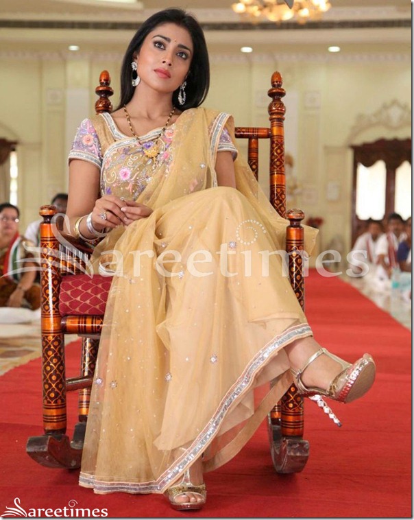 Shriya_Embroidery_Net_Saree