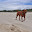 DSC_0291-2.jpg