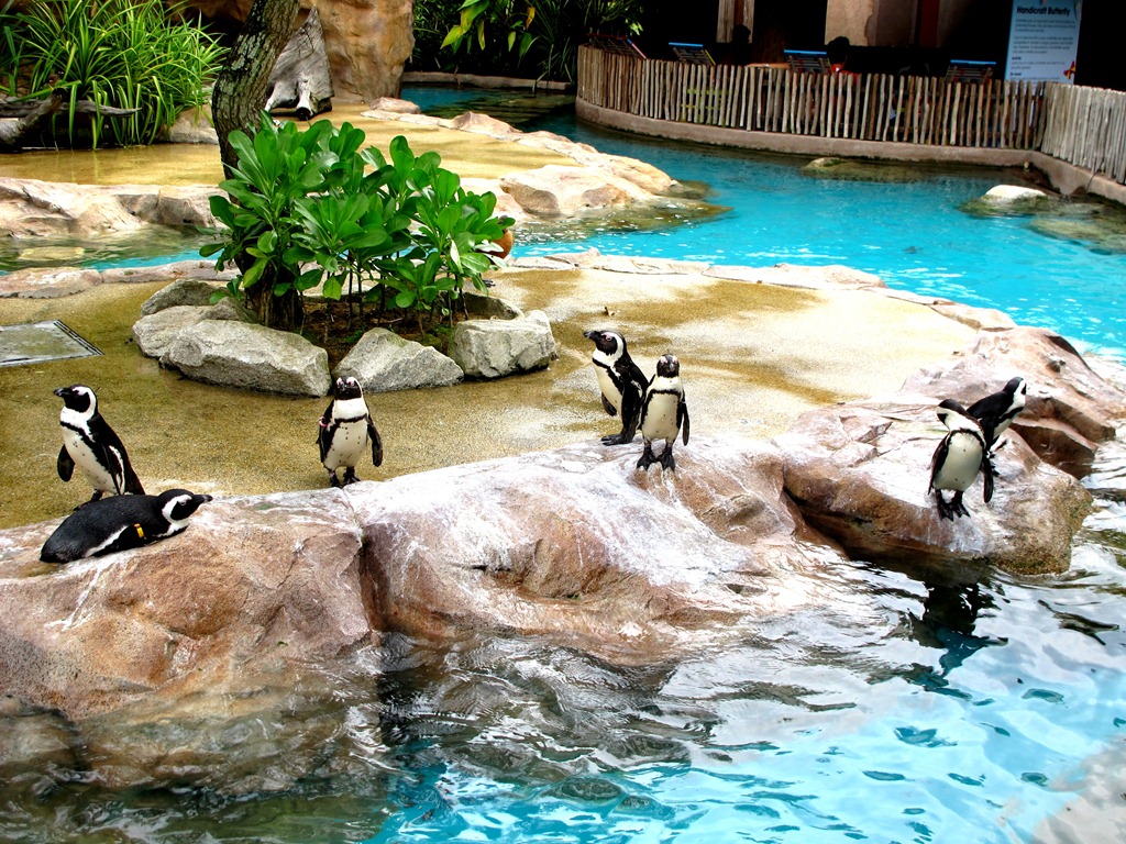 [IMG_9764%255B4%255D.jpg]