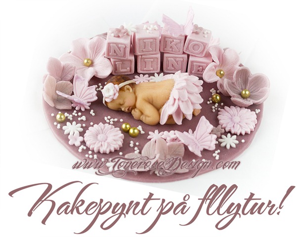 IMG_0024 kake navnfest