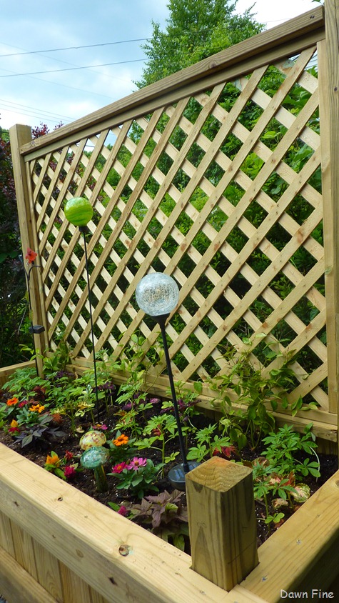 [around-mom-and-dads_0343.jpg]