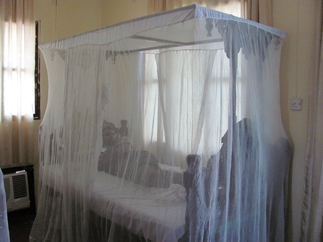 [IMG_05315.jpg]