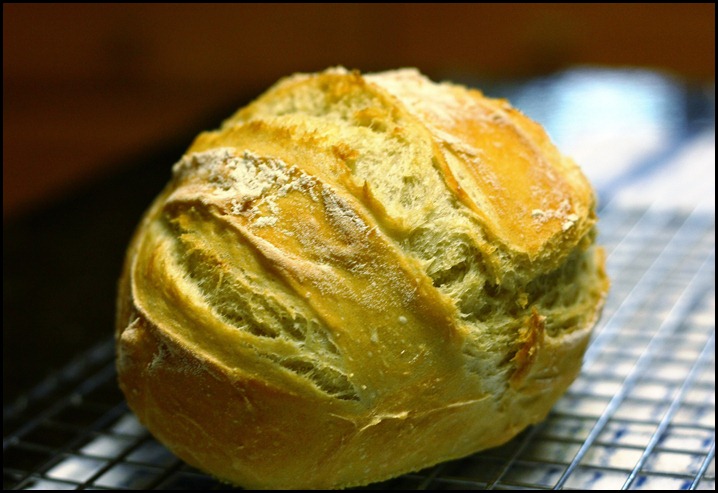 Artisan Bread 2-12