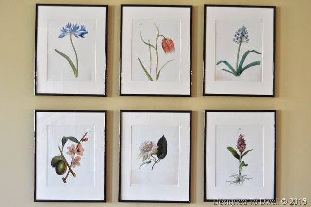 DIY Botanical Art