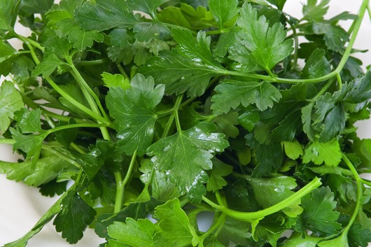 Parsley1 Parsley1