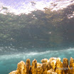  Snorkel Buck Island Reef 
