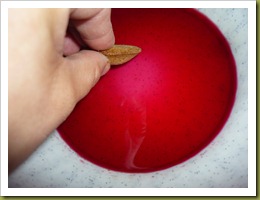 Uovo tridimensionale con pasta frolla e alchermes (10)