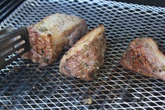 IMG_1801 IMG_1801
