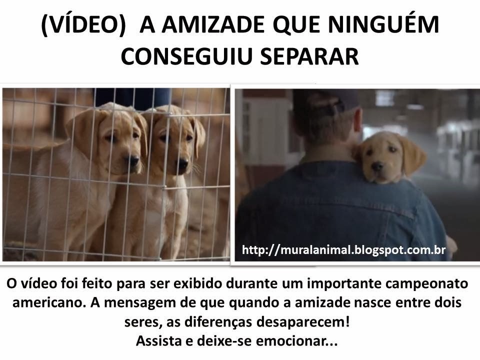 [A%2520AMIZADE%2520QUE%2520NINGU%25C3%2589M%2520CONSEGUIU%255B3%255D.jpg]