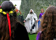 Druid Circle