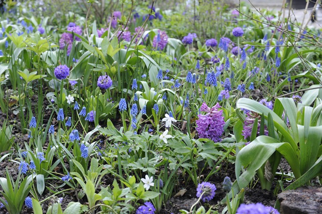 080503_2093_havedrømme