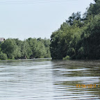 IMG_9657.JPG