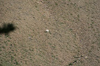 glacier_national_park_-_2009