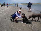 Priscilla and Cassie: Girls day at the beach.