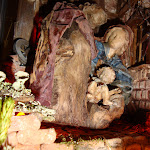 1461-6.JPG