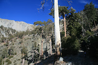 IMG_5248.JPG