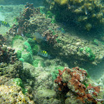 DRK 42nd trip 1-5-12 - P1150237.JPG