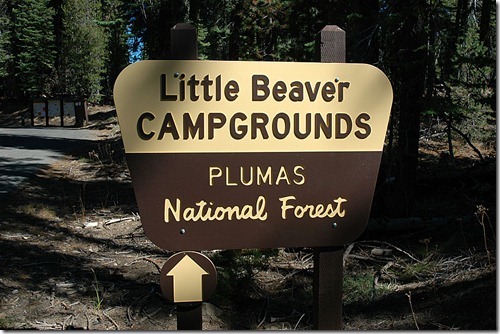 Little Beaver Sign