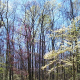 100_0480.JPG