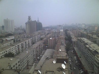 08101243 (Medium).jpg