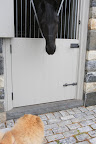 Hey, Ramon!  Have you seen the donkeys?