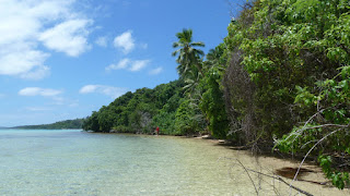 Kenutu.