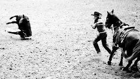 Fort Worth 2011-824.jpg
